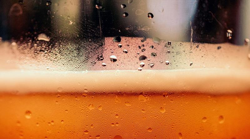 la cerveza engorda